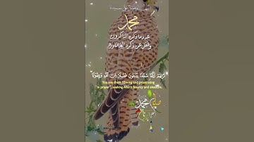 تلاوة خاشعة عطرة مباركة جميلة عذبة للشيخ ماهر المعيقلي ماتيسر من سورة الفتح