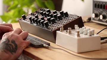 OORA_First  contact with MOOG SUBHARMONICON and Empress ECHOSYSTEM