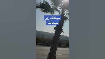 #عبدالرحمن_مسعد #التبوريدة_المغربية #قران_كريم #12septembre2022 #اكسبلور #تلاوة #تيك_توك #ترند #الخي