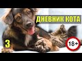 КОТ на РЫБАЛКЕ ОХОТА ДНЕВНИК КОТА ШАШЛЫКА и СОБАКИ ВСЕ ИСТОРИИ ПРИКОЛЫ СУДЬБА АЛКАША В ЛЕСУ 3