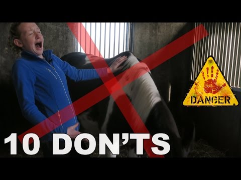 10-dingen-die-je-niet-moet-doen-bij-paarden-of-paardrijden-2.0-|-paardrijden-met-plezier