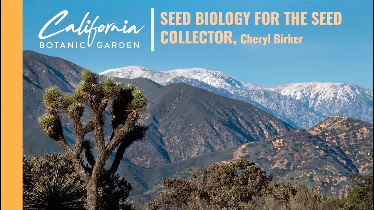 Seed Biology for the Seed Collector