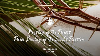 St. Augustine Catholic Church (Washington, D.C.) is live!