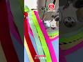 Elastic folded binding strip Starry Sky Sewing
