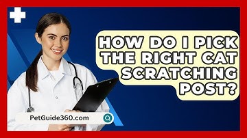 How Do I Pick The Right Cat Scratching Post? - PetGuide360.com