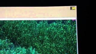 Acer Predator X34 G-SYNC Artifact - Flickering