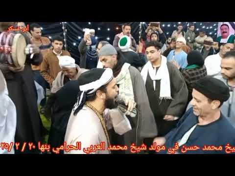 الشيخ محمد حسن في مولد سيدي الشيخ محمد العربي الحرامي بنها الحاجة راوية ٢٠ ٢ ٢٠٢٥