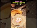 족제비로부터 새끼 지키는 용감한 어미고양이