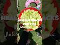 سناكس صحية للاطفال فى الصيف و البحر #snacks #food #kidsnutrition