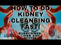 Kidney Cleanse - How to Do Kidney Cleansing Fast