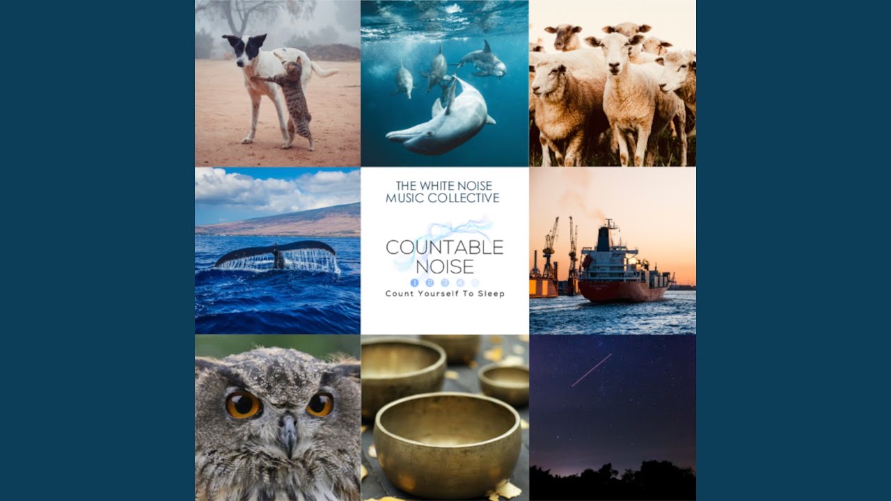 Guarda Countable Sheeps su YouTube Guarda Countable Sheeps su YouTube