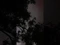 ياكم ضحيت وكم عانيت بدون حقوق
