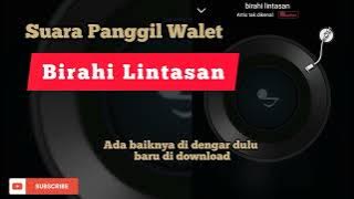 Suara panggil walet Birahi Lintasan