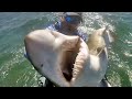 PESCADO DE FILOSOS DIENTES PONE EN RIESGO AL PESCADOR EN SU KAYAK