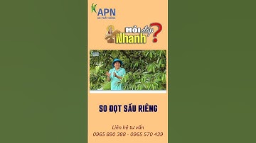APN - CÔNG THỨC SO ĐỌT SẦU RIÊNG