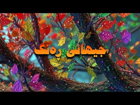 کاریگەرییەکانی ڕەنگ لە سەر تەندروستی جەستەیی و دەروونی مرۆڤ