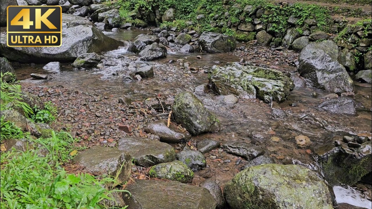 River and Nature Harmony for Focused Breathing, Yoga, and Sleep | ASMR