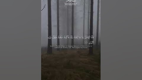 سورة الفجر | صوت جميل | تلاوة رائعة| قرآن | صوت هادئ