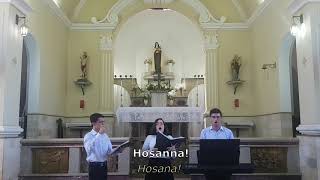 Video thumbnail of "Hosanna Filio David"