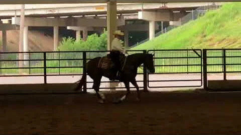 Kristi Clark OKC Ranch Riding 2018