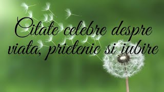 Citate Celebre Despre Viata, Prietenie Si Iubire. Cuvinte Intelepte Despre Viata