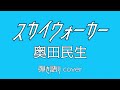 スカイウォーカー【歌詞付】 奥田民生 弾き語り カバー 歌ってみた
