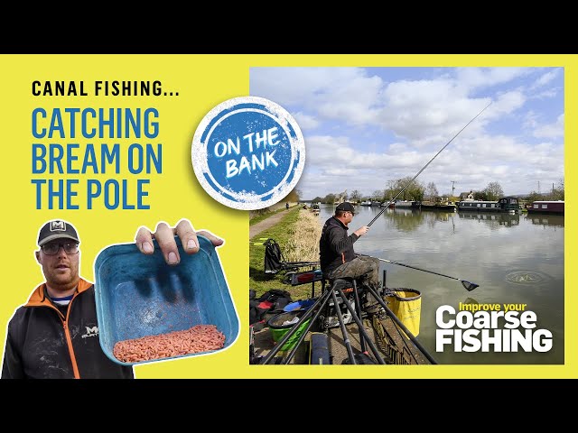 atlas fishing net ATLAS Carp Fishing Carbon Landing Net [42in]