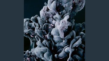 Tasteful Ambiance for Colorful Keynotes