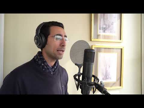 Karawan El Fan Hatem El Sharkawy Cover كروان الفن حاتم الشرقاوى 