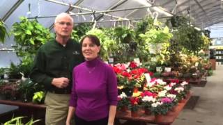 Information Hadley Garden Center Update