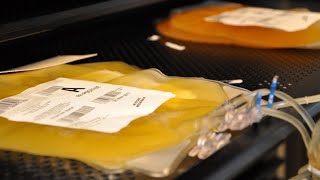 The Platelet Donation Process: From Donor to Patient | Hoxworth Blood Center