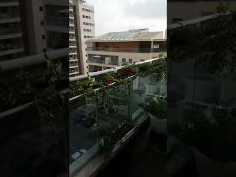 גינה תלויה אדניות על המעקה בחיפה