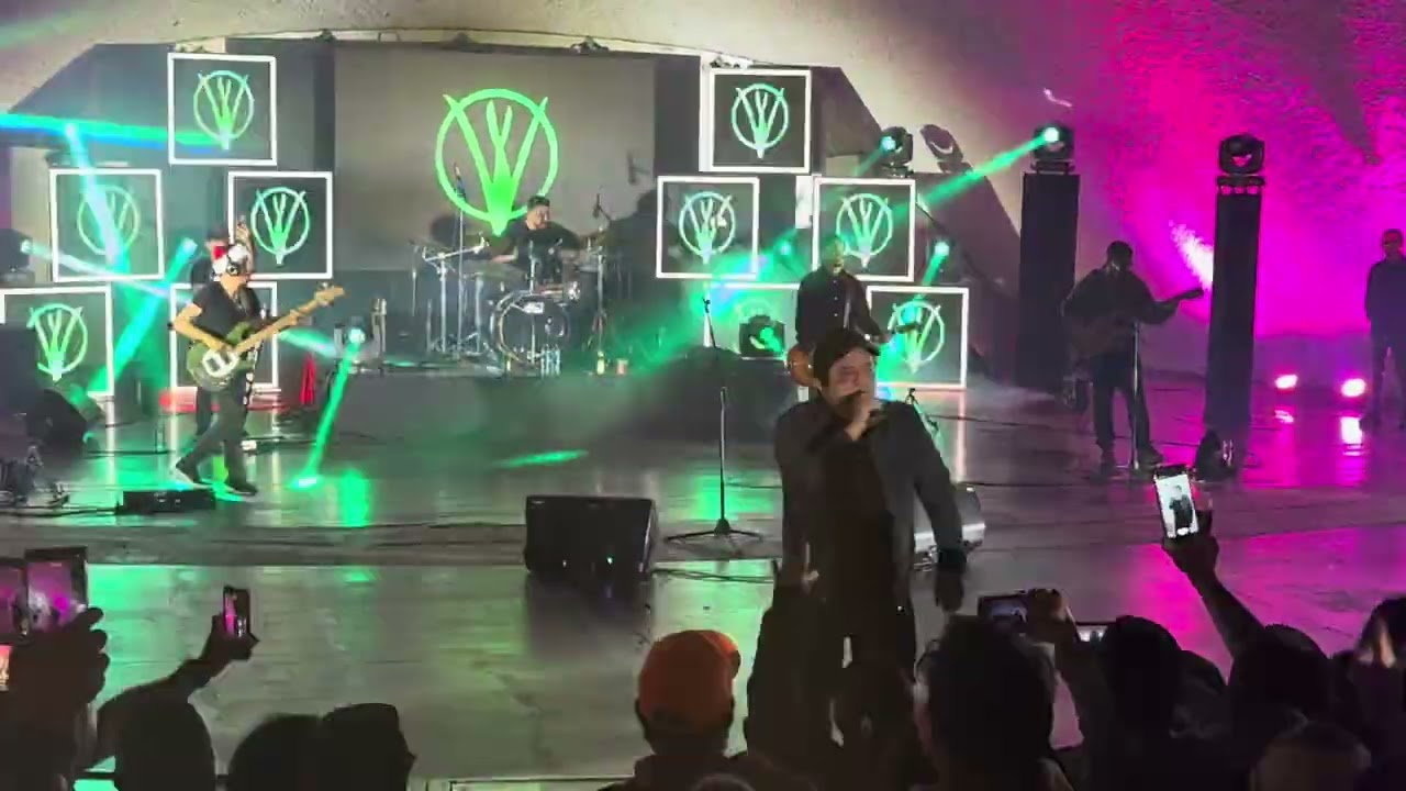 VIERNES VERDE — RÉQUIEM EN E (LIVE)