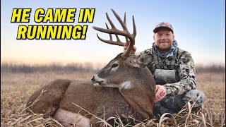 Public Land Rattling Worked!