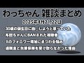 わっちゃん 雑談ダイジェスト「おひるの雑談」「よるの雑談」【2025/4/21,22】