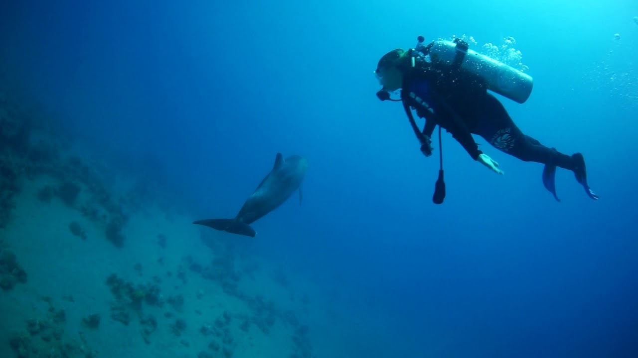 Scuba diving in Eilat, Israel