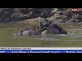 LIVE: Kutoka Mbuga Za Wanyama Serengeti Tanzania