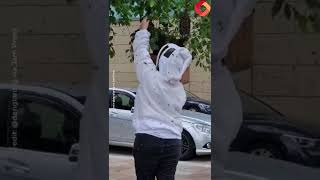 Woman stuns social media users after capturing SWARM OF BEES with her BARE HANDS