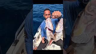 Μια διπλετα με ωραίες συναγρίδες στον πλάνο trapjig!! #boatfishing #fishing #rhodes #ψάρεμα