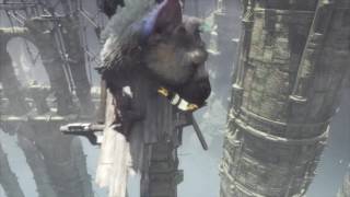 Saved by Trico!