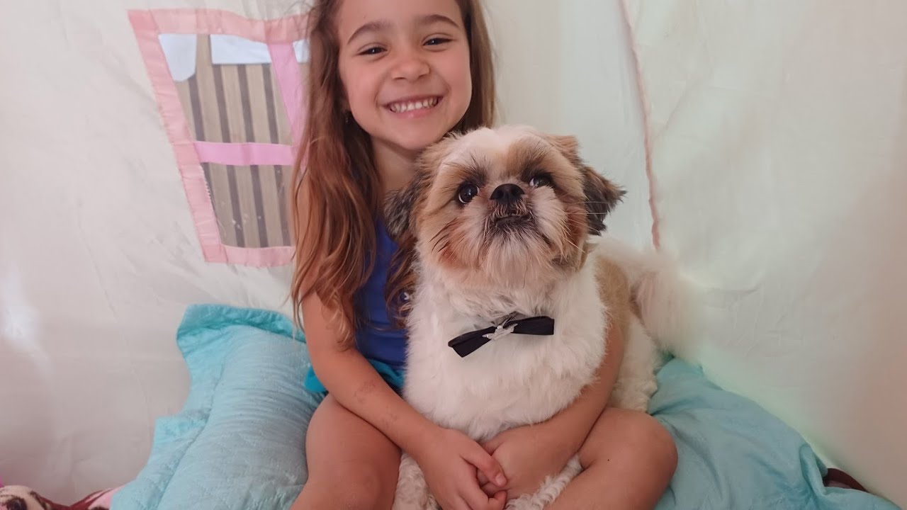 Dia do Meu cachorro tomar banho , deixando ele limpinho e cheiroso e com uma gravatinha 