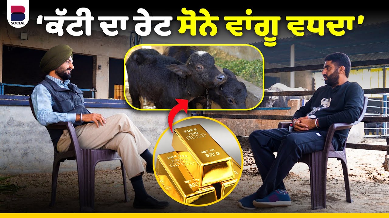 ਮੈਂ ਸ਼ਾਮ ਨੂੰ ਚੰਗੇ ਪੈਸੇ ਵੱਟ ਕੇ ਘਰ ਵੜ੍ਹਦਾਂ | Dharat De Jaaye | Maninder Singh Shergill | B Social