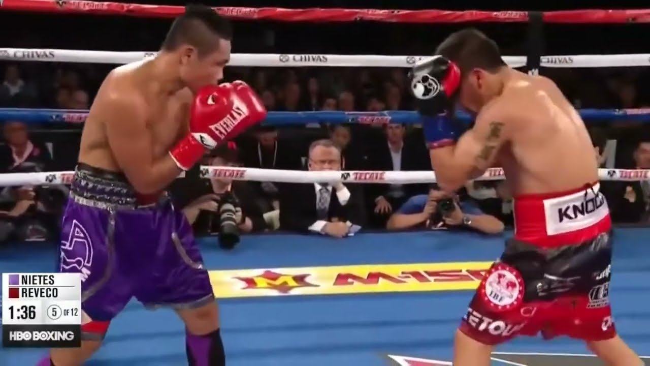 Donnie Nietes vs Juan Carlos Reveco HIGHLIGHT