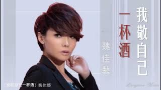 我敬自己一杯酒 Wo jing zi ji yi bei jiu 魏佳藝  WEI JIA YI #動態歌詞 Lyrics Music