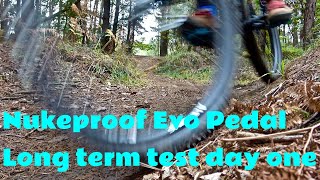 Nukeproof Neutron Evo Flat Pedals The ideal flat winter pedal start of a long te