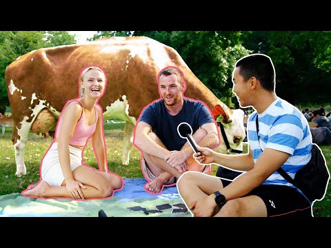 Kühe geben doch immer Milch, oder? 🐄 - YouTube