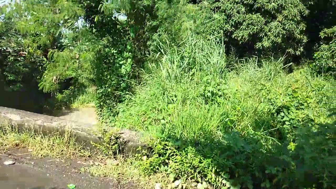 tagong ilog park 1 BRGY PARADAHAN TANZA CAVITE YouTube