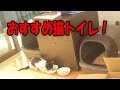 おすすめ猫トイレ ドーム型。砂もセットで初めての購入に。