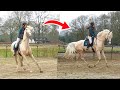 Volledige training met mijn schrikkerige paard nacho door jill huijbregts