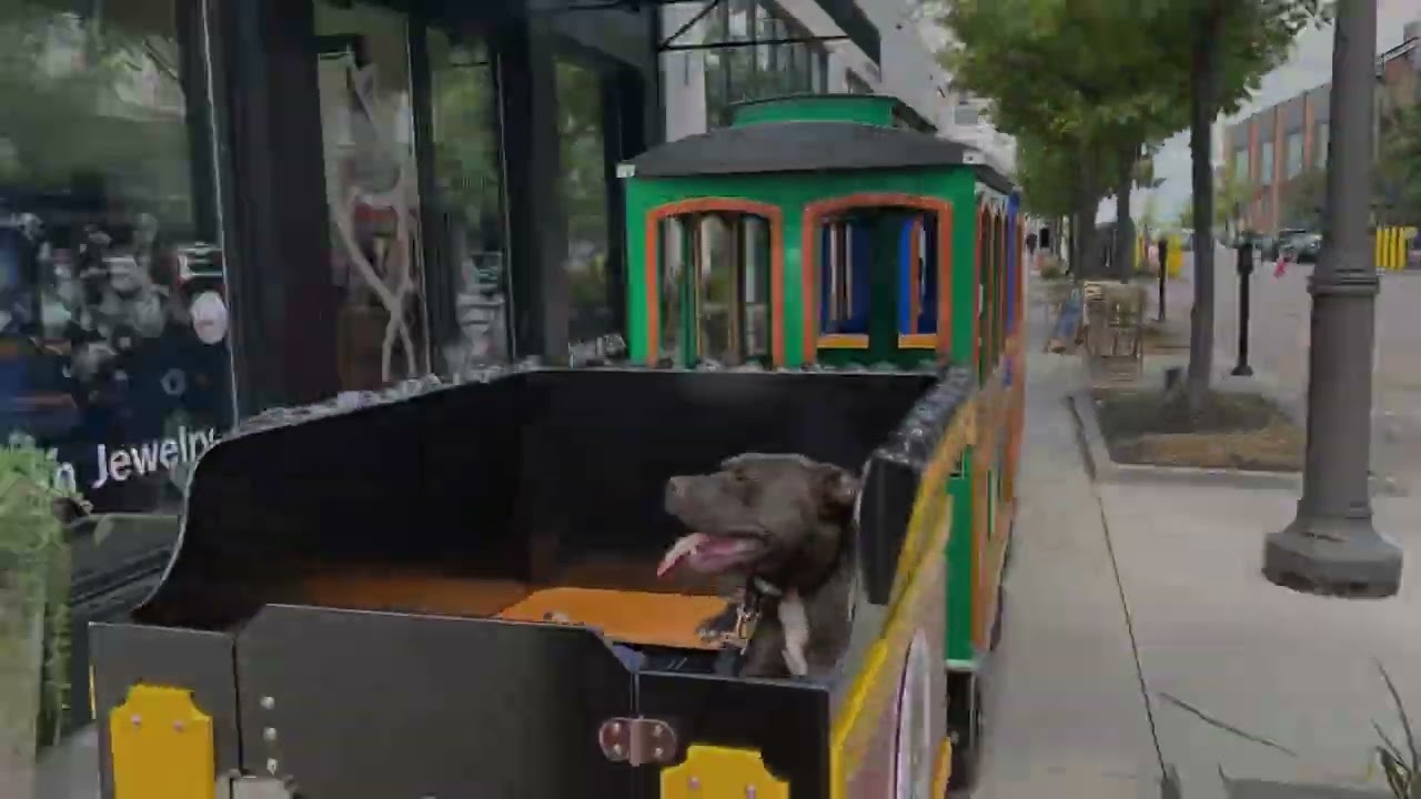 Driving A Wattman Mini Express Train Outdoors, Liberty Center Express, How Many Angles Did You Count